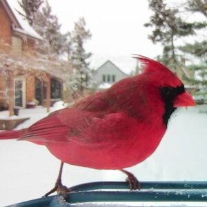 Meet your Posher, Kay